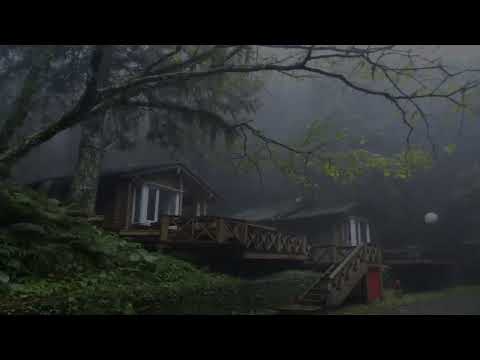 Видео: Дощ у лісі.