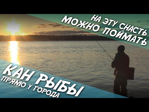 Видео: На эту снасть можно поймать кан рыбы прямо у города
