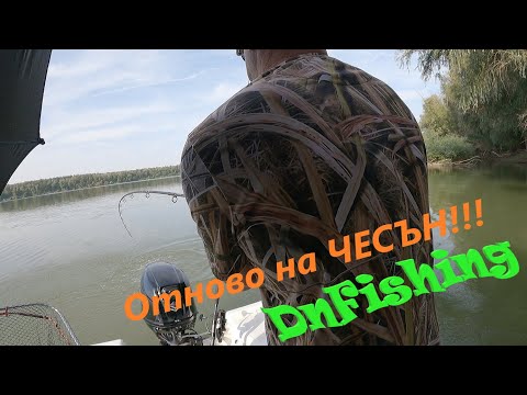 Видео: Отново на ЧЕСЪН!!! Див Дунавски ШАРАН!  Wild carp fishing! Danube RIVER carp fishing !!!