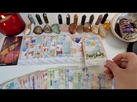 Видео: 🤔🫶✨Түүний бодол, мэдрэмж