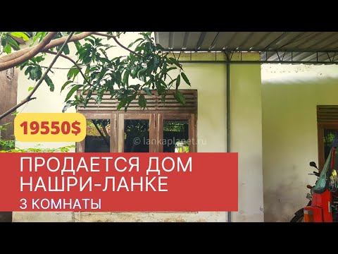 Видео: Продается дом на Шри-Ланке