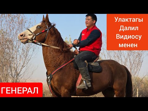Видео: ГЕНЕРАЛДЫН  Түз  Баласы  Сатууга Чыкты  Улактагы  Далил Видиосу менен 