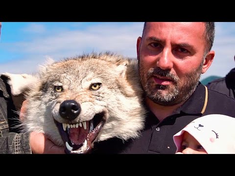Видео: Супер гриль в действии на фестивале!