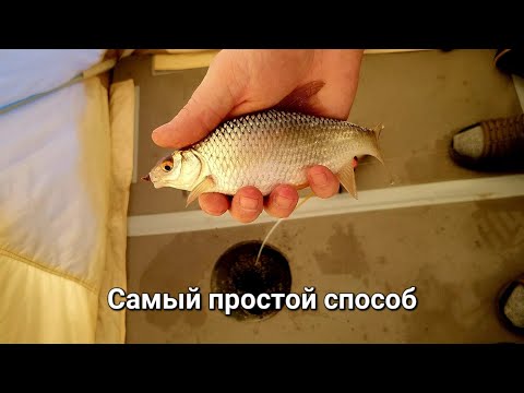 Видео: Как поймать плотву сидя на одном месте! Секреты зимней рыбалки