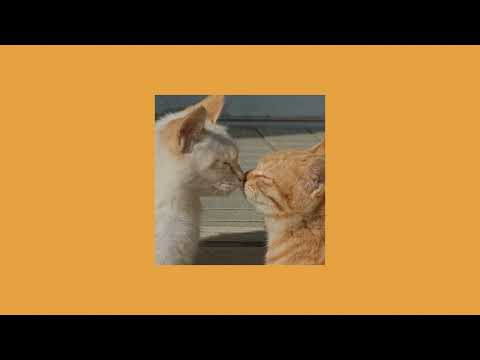 Видео: fleur - больше не будет больно и плохо (speed up)