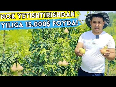 Видео: +998941393339 НОК мутахасисларидан фойдали малумот
