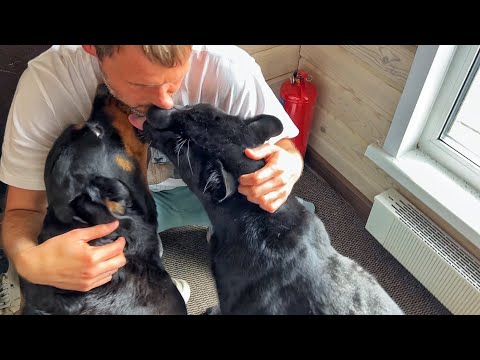 Видео: Пантера Луна проверяет стройку и знакомится со строителем😁