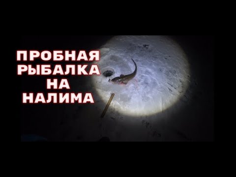 Видео: Пробная рыбалка на налима .