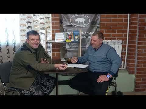 Видео: Свиноферма Алексея Гауса.Беседа с профессионалом.1 серия