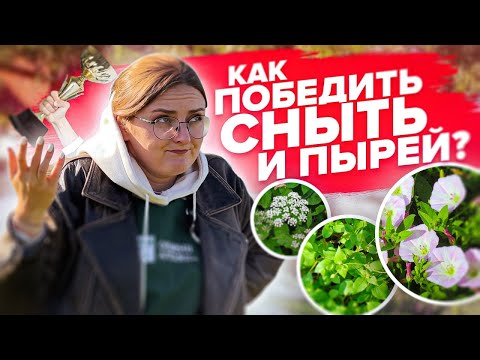 Видео: КАК УБРАТЬ СОРНЯКИ НАВСЕГДА?! Мокрицу, сныть, вьюн, портулак и другие