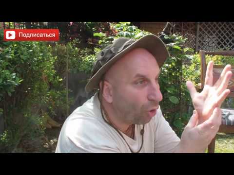 Видео: Понимание мужчины и женщины. Сатья дас