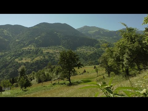 Видео: Шуахеви (შუახევი ) и Гома (ღომა). (часть 2)