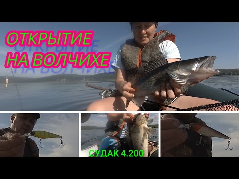 Видео: СУДАК, ОКУНЬ -ВОЛЧИХИНСКОЕ ВДХР.ОТКРЫТИЕ 2024