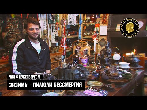 Видео: Чай с Цукербергом - ЭНЗИМЫ - пилюли бессмертия