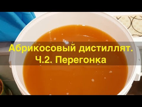 Видео: Абрикосовый дистиллят. Перегонка