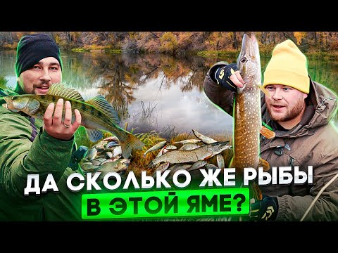 Видео: ДА СКОЛЬКО ЖЕ РЫБЫ В ЭТОЙ ЯМЕ?
