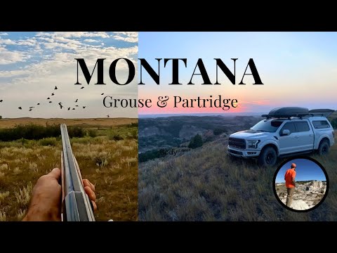 Видео: Монтана '25, Шаптейлы и Ханы, часть 1