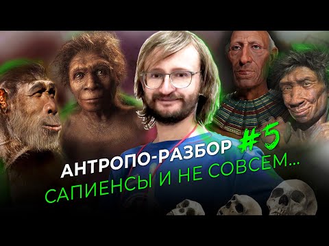 Видео: Сапиенсы и не совсем... Станислав Дробышевский. #Антропо_разбор 5