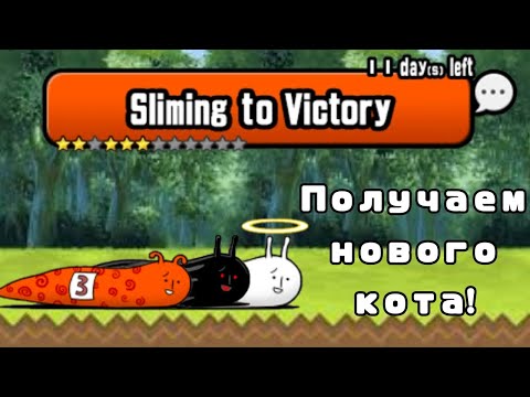 Видео: Sliming to Victory | Получаем нового кота! | (The Battle Cats)