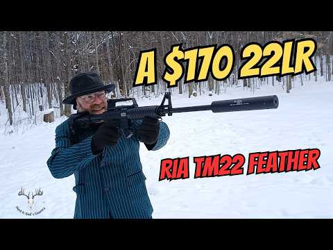 Видео: 22LR за 170 долларов! RIA (Rock Island Armory) TM22 Feather 22LR
