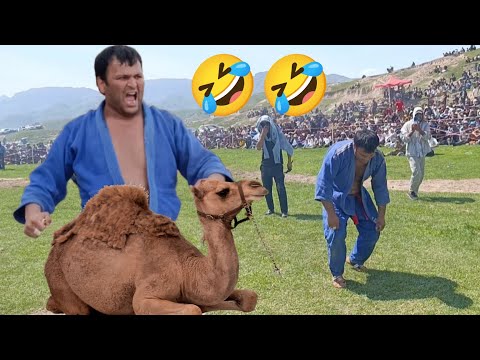 Видео: 🤣 Дар Гуштини Фахробод Оби Дева Чушондан Саруш Вайрон Шид