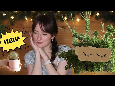 Видео: Перезимовали! (нет) 2023 | Masherisha