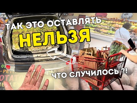 Видео: Так просто они не отстанут Придется решать проблему быстро