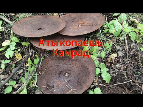 Видео: А ты копаешь Камрад или дома сидишь, бери лопату и айда за металлом. 