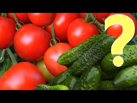 Видео: Что лучше посадить? Сорт или гибрид F1?