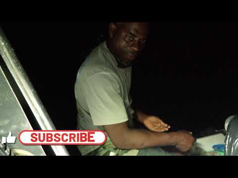 Видео: Ночная рыбалка в тихую ночь. Остров Кэт, Багамы.