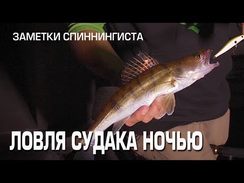 Видео: Заметки спиннингиста.  Ловля судака ночью.