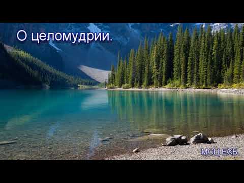 Видео: "О целомудрии". А. Н. Елисеев. Проповедь. МСЦ ЕХБ.