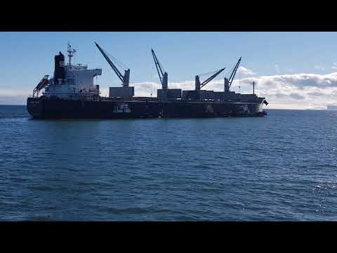 Видео: Беринговский