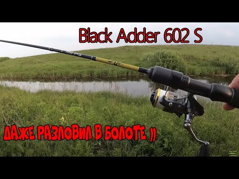 Видео: Спиннинг Black Adder BA602XUL-S-20. ПЕРВАЯ РЫБАЛКА !