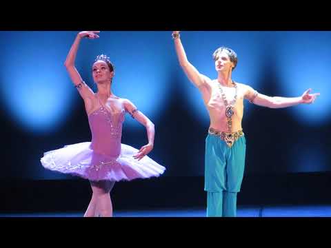Видео: Ширинкина Шкляров