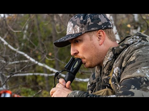 Видео: КАК коллировать баксов во время гона!