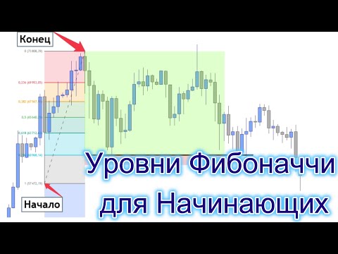 Видео: Уровни Фибоначчи для Начинающих