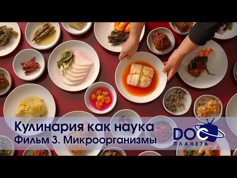 Видео: Кулинария как наука - Фильм 3. Микроорганизмы - Документальный фильм