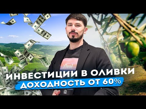 Видео: КАК ЗАРАБАТЫВАТЬ НА ОЛИВКОВЫХ ПЛАНТАЦИЯХ?