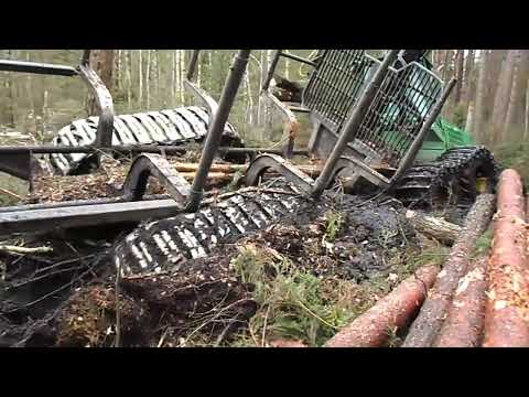 Видео: вывоз леса по бездорожью