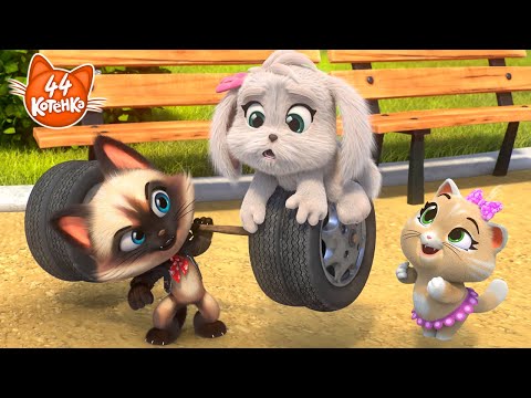 Видео: 44 Котёнка | Cамый сильный кот Игорь!