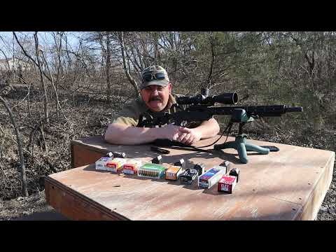 Видео: Тест патронов Ruger Precision .22