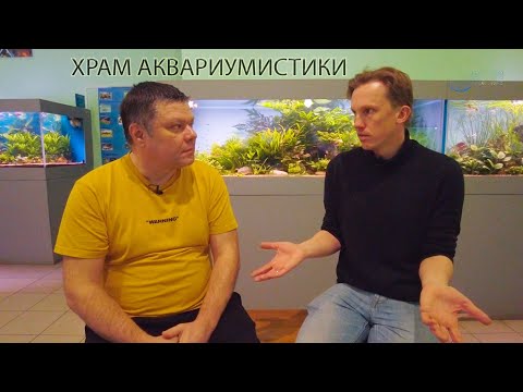 Видео: Акванариум - храм аквариумистики