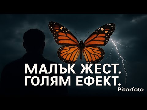 Видео: Ефектът на пеперудата | The Butterfly Effect – една дребна случка променя всичко | Pitarfoto