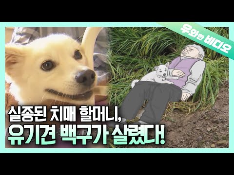 Видео: Догго, спасший 93-летнюю женщину, пропавшую без вести в течение 40 часов