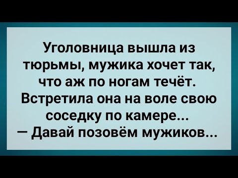 Видео: Ненасытная Уголовница Вышла из Тюрьмы! Свежие Анекдоты для Настроения! Юмор!.