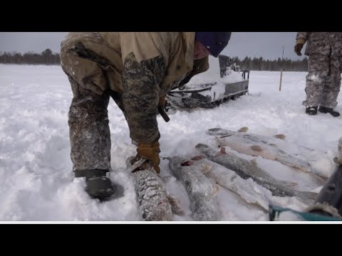 Видео: Рыбацкое счастье  1