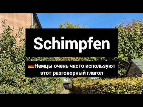 Видео: Всё про разговорный глагол schimpfen в немецком языке #deutsch #немецкийязык