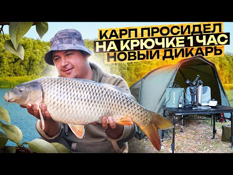 Видео: Чуть не проспал карпа! Рыбалка на новом дикаре по холодной воде. Осенний карпфишинг.