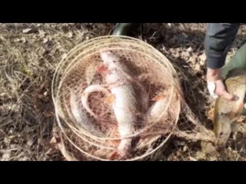 Видео: Рыбалка фитилями (мережкой, вентерями). Закрытие сезона рыбалки на щуку.